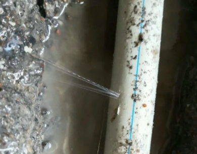 六安市测漏水哪家好