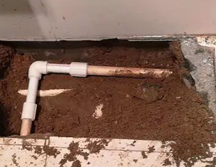 六安市测漏水哪家好